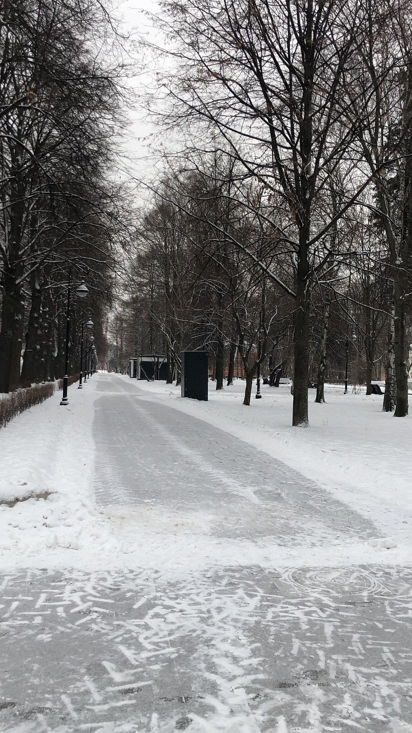 Реконструкция Северного речного вокзала, благоустройство парка
